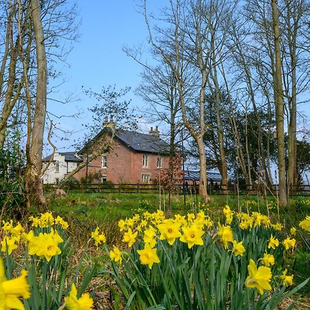 The Bothy Cottage ลิธึม เซนต์ แอนน์ส ภายนอก รูปภาพ