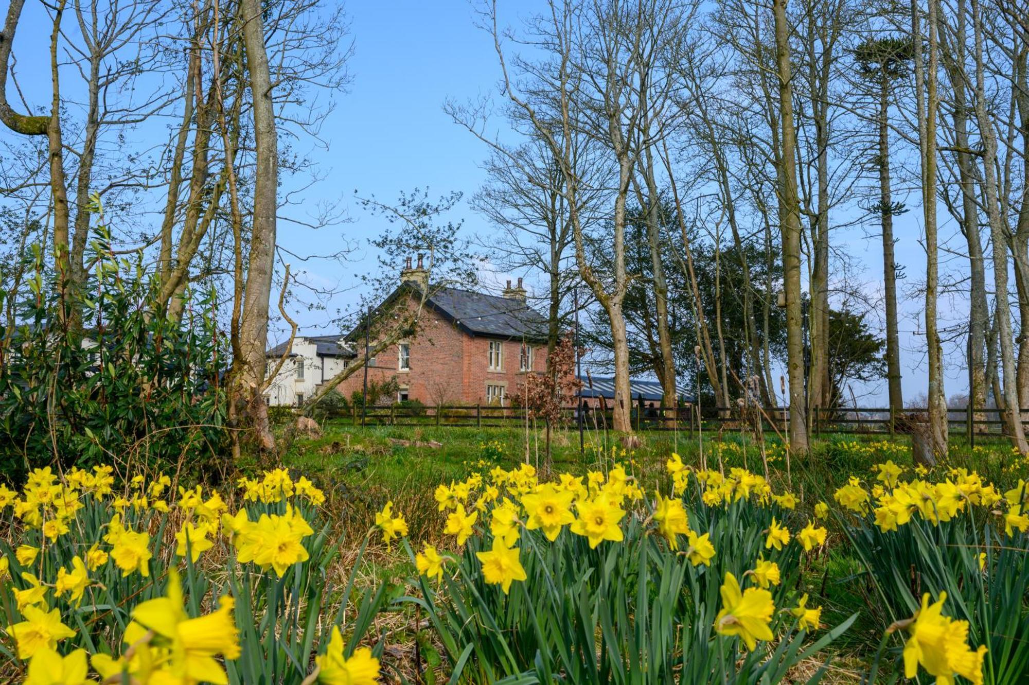 The Bothy Cottage ลิธึม เซนต์ แอนน์ส ภายนอก รูปภาพ